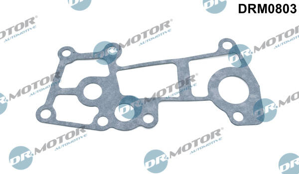 Gasket, coolant flange