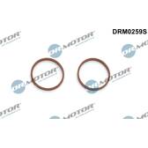 Gasket, intake manifold Dr.Motor Automotive - DRM0259S