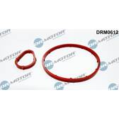Guarnizione, Pompa depressione Dr.Motor Automotive - DRM0612