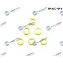Guarnizione, Portapolverizzatore Dr.Motor Automotive - DRM02456S