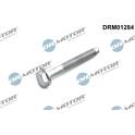 Screw, injection valve holder Dr.Motor Automotive - DRM01284