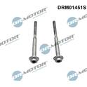 Screw, injection valve holder Dr.Motor Automotive - DRM01451S