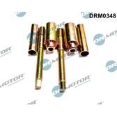 Screw, injection valve holder Dr.Motor Automotive - DRM0348