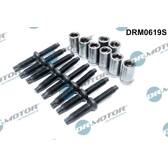 Screw, injection valve holder Dr.Motor Automotive - DRM0619S