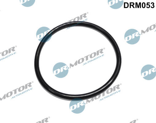 Seal- fuel filter