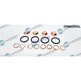 Seal Kit, injector nozzle Dr.Motor Automotive - DRM0256SL