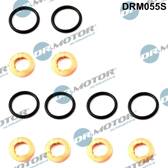 Seal Kit, injector nozzle Dr.Motor Automotive - DRM055S