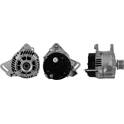 Dynamo / Alternator (Gereviseerd) DRI - 211188902