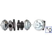 EGR Valve DRI - 717710174