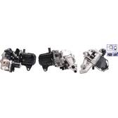 EGR Valve DRI - 717730158