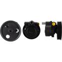 Hydraulic Pump, steering system DRI - 715520652