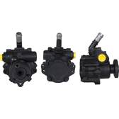 Hydraulic Pump, steering DRI - 715520053