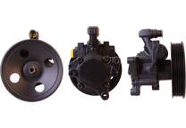 Hydraulikpumpe, Lenkung