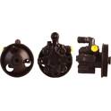 Hydraulikpumpe, Lenkung DRI - 715521045