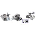 Turbolader (Gereviseerd) DRI - 729106692