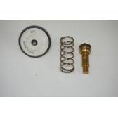 Thermostat d'eau DRIVE + - DP2310.14.0686