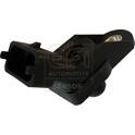 Capteur (pression du tuyau d'admission) EFI AUTOMOTIVE - 291049