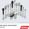 Cavilhas da roda EIBACH - S1-1-12-50-26-17-B