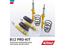Suspension kit, springs/shock absorbers