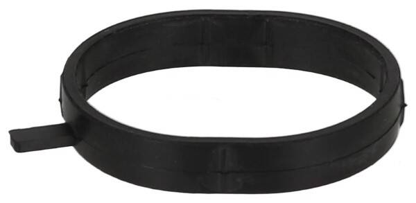 Seal Ring, coolant pipe