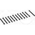 Boulon / vis de culasse de cylindre ELRING - 460.030