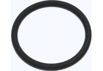 Dichtungsring (Injektorhalter) (x25)