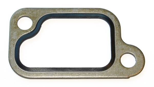 Gasket, coolant flange