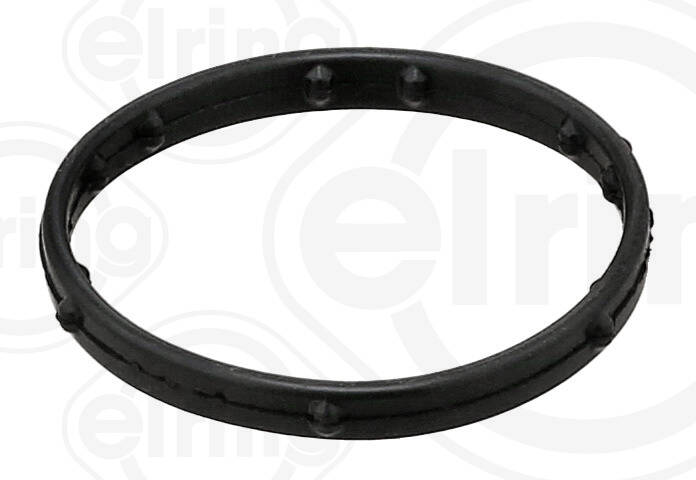 Gasket, coolant flange