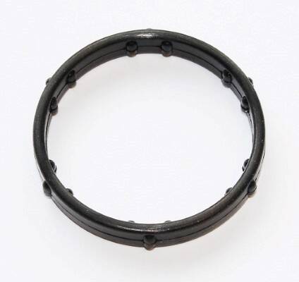 Gasket, coolant flange