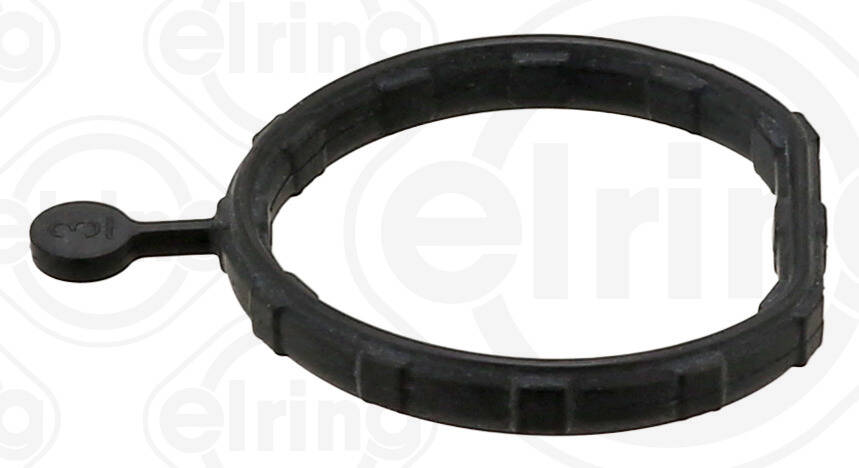 Gasket, coolant flange