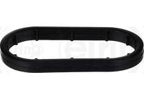 Gasket, oil cooler