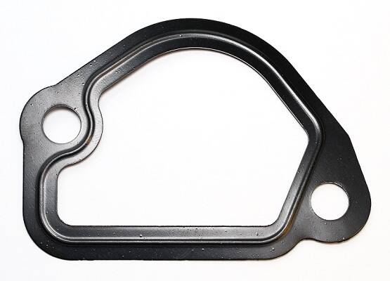 Gasket, coolant flange