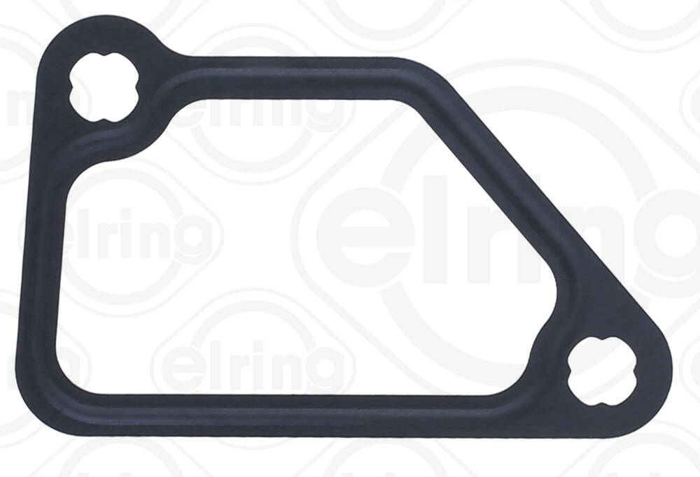 Gasket, coolant flange