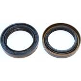 Paraolio, Cambio manuale ELRING - 539.581
