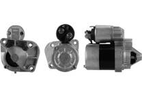 Startmotor (Gereviseerd)