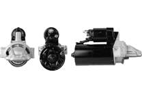 Startmotor (Gereviseerd)