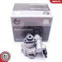 Hydraulic Pump, steering ESEN SKV - 10SKV196