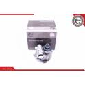 Hydraulic Pump, steering ESEN SKV - 10SKV248