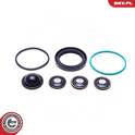 Kit d'assemblage (pompe à carburant) ESEN SKV - 96SKV933
