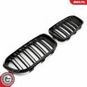 Kühlergrill ESEN SKV - 66SKV021
