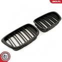 Radiator Grille ESEN SKV - 66SKV162