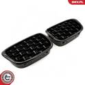 Radiator Grille ESEN SKV - 66SKV164