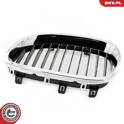Radiator Grille ESEN SKV - 66SKV169