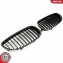 Radiator Grille ESEN SKV - 66SKV170