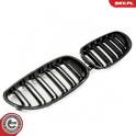 Radiator Grille ESEN SKV - 66SKV171