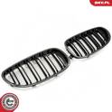 Radiator Grille ESEN SKV - 66SKV174