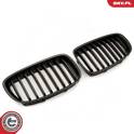 Radiator Grille ESEN SKV - 66SKV177