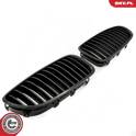 Radiator Grille ESEN SKV - 66SKV179