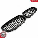 Radiator Grille ESEN SKV - 66SKV191