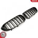 Radiator Grille ESEN SKV - 66SKV195